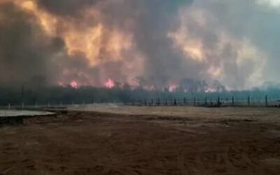 preocupa un foco activo en las Yungas