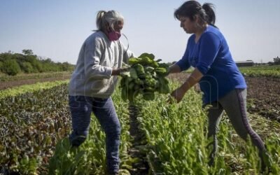 Impulsan políticas públicas ante la desigualdad en el Día de las Mujeres Rurales