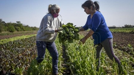 Impulsan políticas públicas ante la desigualdad en el Día de las Mujeres Rurales