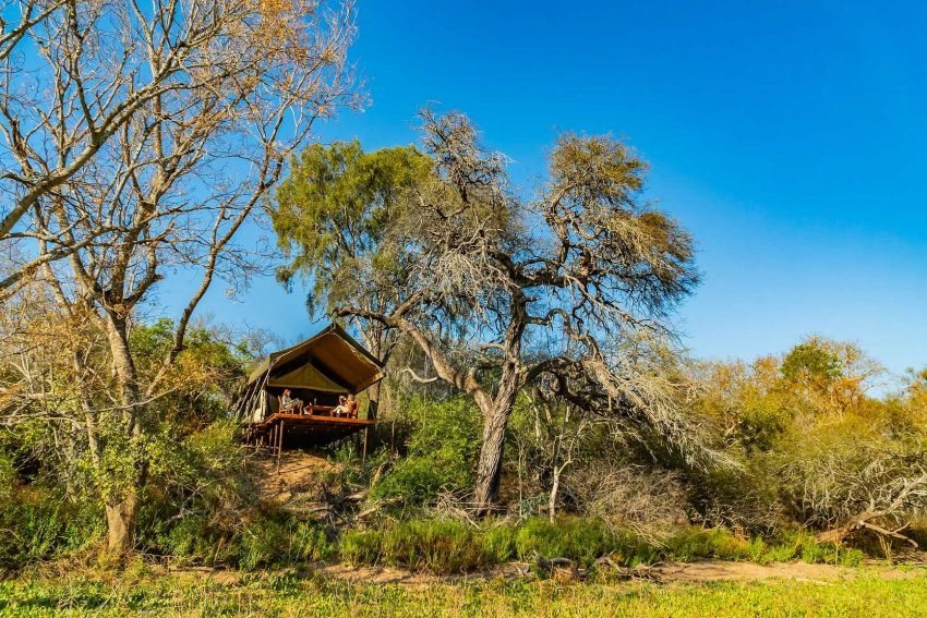 El Impenetrable, entre los 17 mejores destinos turísticos del mundo – Las noticias más importantes de Chaco