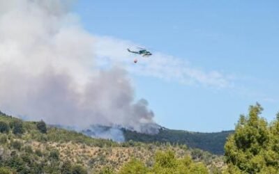 Dividen en seis el área afectada por los incendios de bosques en el Parque Nacional Los Alerces