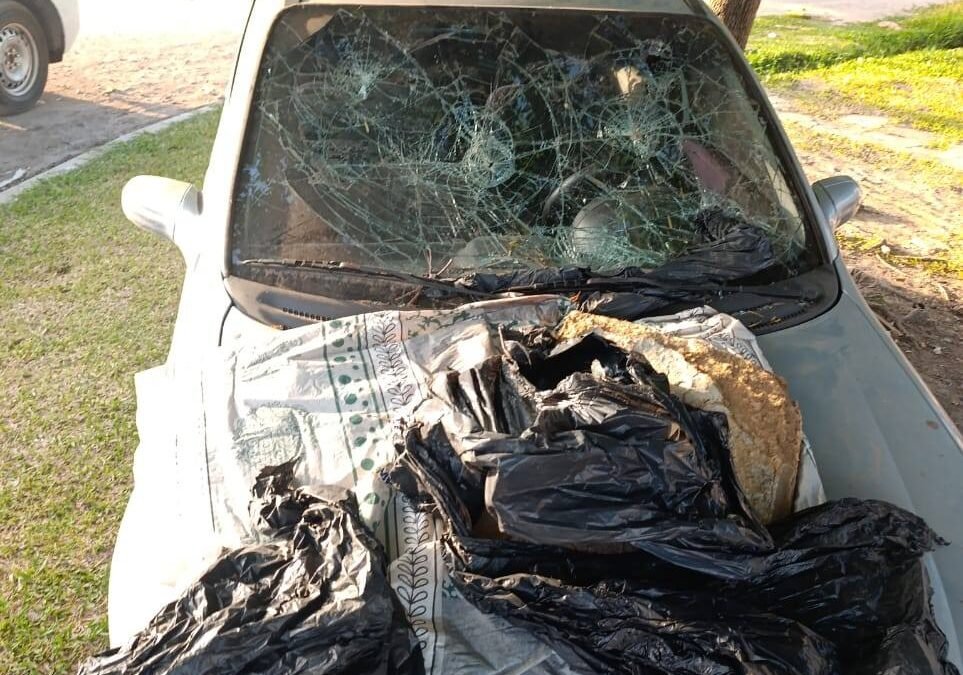 Resistencia: una mujer le destruyó el auto a su ex