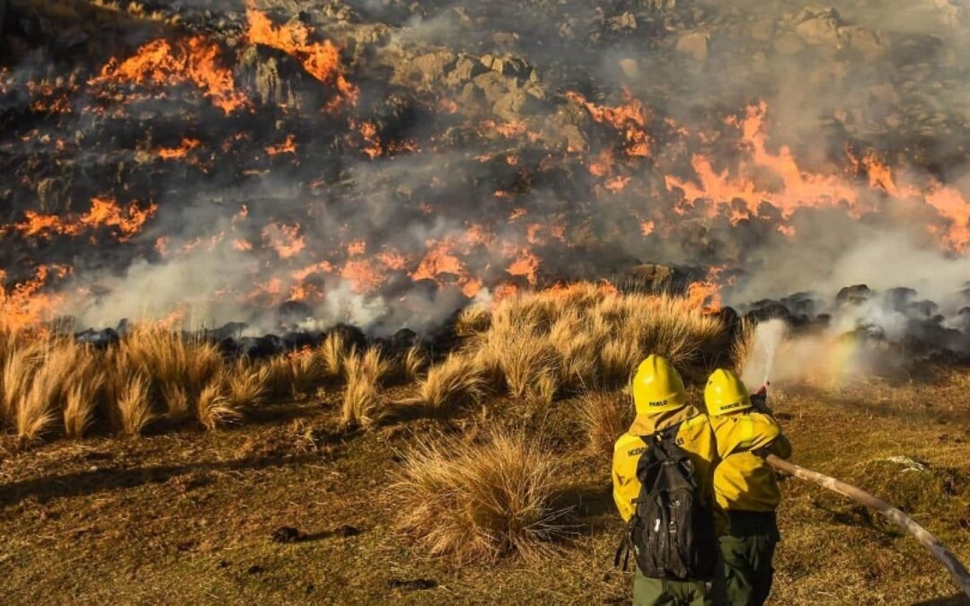 Incendios en Corrientes: el INTA confirmó que ya se quemaron cerca de 100 mil hectáreas