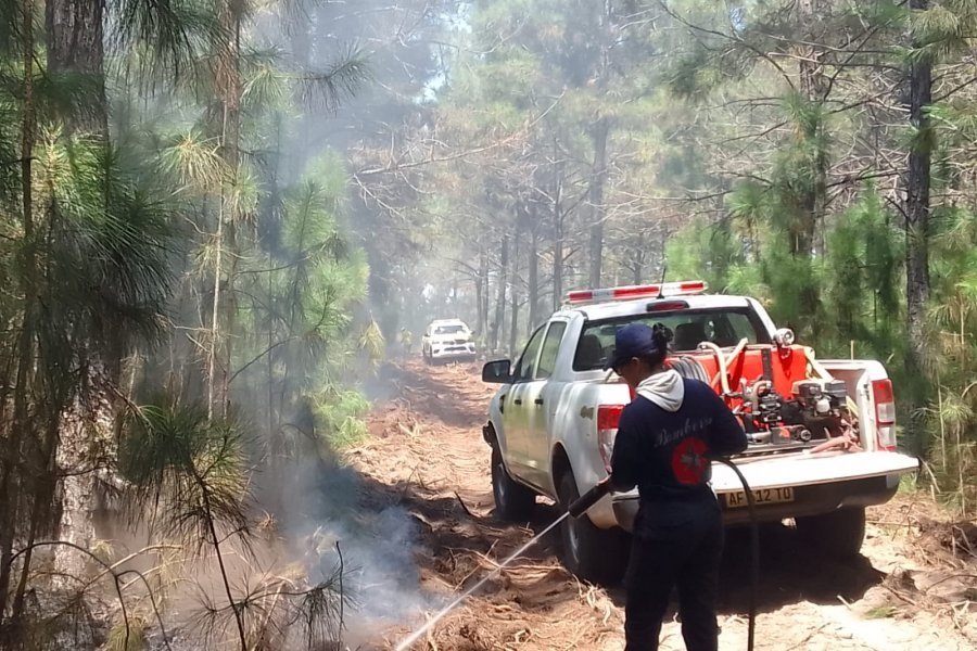 Sin lluvias y calor extremo: Corrientes se encuentra en alerta por incendios