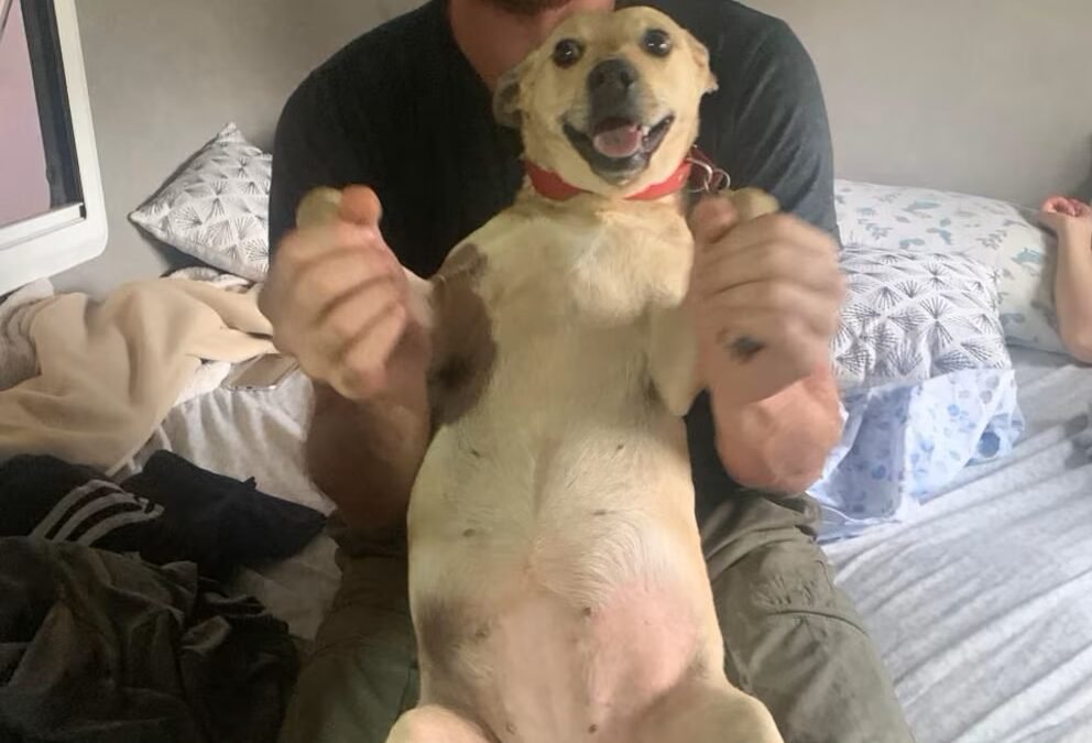 La familia del argentino desaparecido en un camping de Florianópolis llegó a Brasil para colaborar en la búsqueda