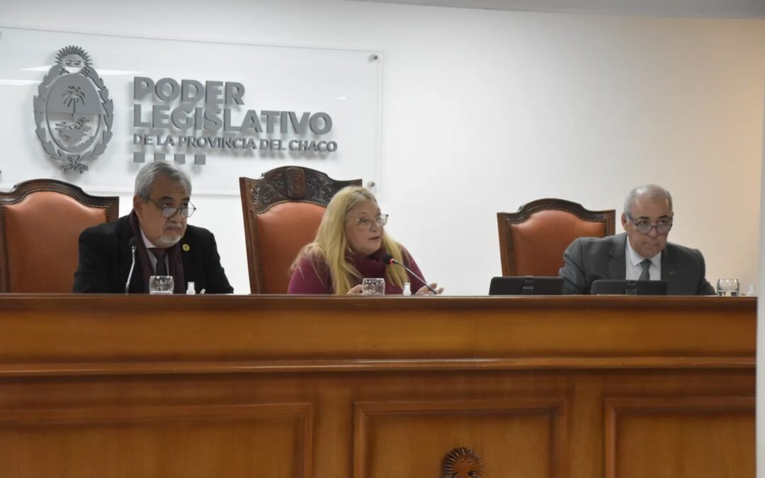 La Legislatura aprobó la emergencia en salud mental en Chaco